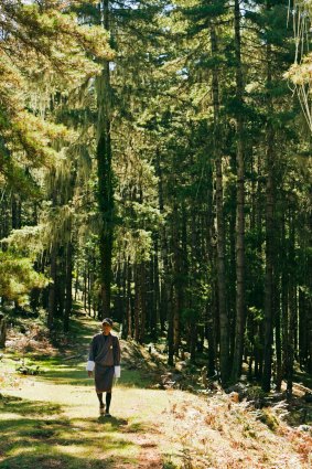 A Bhutanese man walks in the forest in Phobjika Valley. 