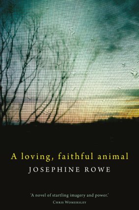 <i>A Loving Faithful Animal</i> by Josephine Rowe.