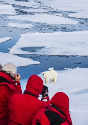 Passengers spot a polar bear on an ice floe in the Arctic shelf on an expedition cruise to Svalbard, Norway.
