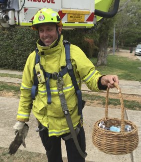 Senior Firefighter Stuart Laing with the basket of rescued baby magpies.