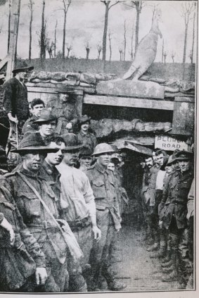 The 7th Field Company of Australian Engineers in Messines, Belgium, standing outside the entrance to the Catacombs in Hill 63, January 22, 1918.