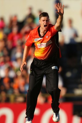 Perth Scorchers fast bowler Jason Behrendorff wants to see Canberra have a team in the Big Bash League.