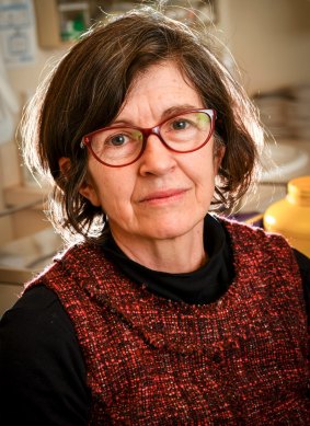 Dr Kathleen McNamee