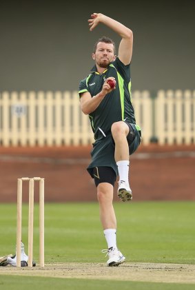 Test paceman Peter Siddle could play for the PM's XI against New Zealand on October 23.