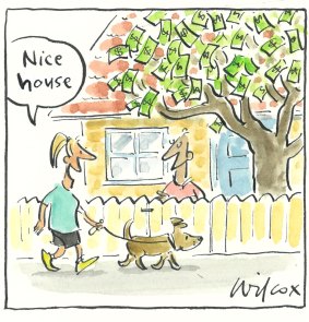 Illustration: Cathy Wilcox