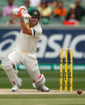 David Warner played despite being injured in the nets.