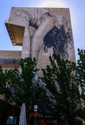 Guido van Helten's mural in Windsor took five days to transfer to the wall using spray paint, acrylics, paint brushes and a large cherry picker.