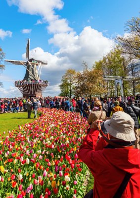 A windmill at Keukenhof park.