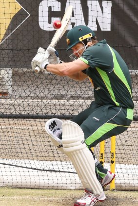 "A few things flooded through my mind as soon as I went out to bat": Shane Watson.