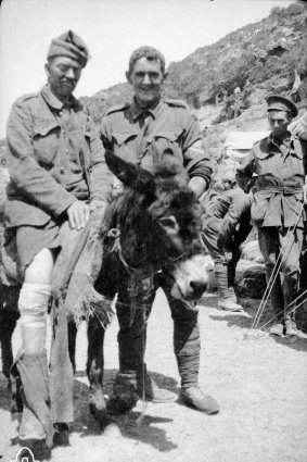 Private John Simpson Kirkpatrick (enlisted as Simpson), 3rd Field Ambulance Brigade, with his donkey squad, helps a wounded soldier.