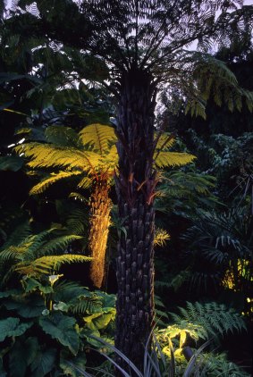 An exotic garden shines with strategically placed lights.