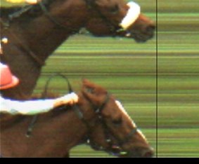 Two pixels: Dunaden (inside) beats Red Cadeaux in the 2011 Melbourne Cup. 
