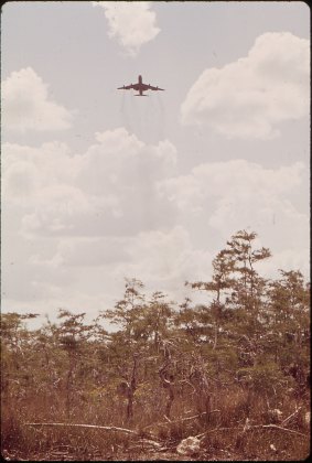 A plane takes off from Everglades Jetport in July 1972.