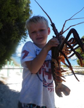 Rottnest is a crayfish-loving kid's playground.