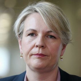 Acting Labor leader Tanya Plibersek has indicated the party's support for a Clean Energy Target (CET).