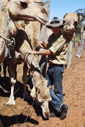 Gill Wheadon with one of the sanctuary's 30 camels, including eight that they brought from Alice Springs over a decade ago.