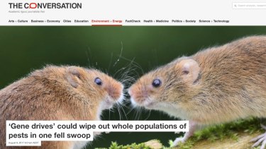 "I smelt a rat": A 2017 article on pest eradication using genetic technology on the website of <i>The Conversation</i>.  