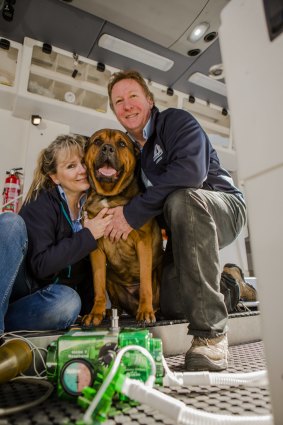 Claudia Blackley, Jarrod Male and their dog, Moose, owners and operators of Pet Ambulance.