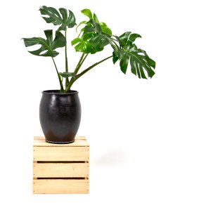 Handmade from recycled inner tubes, each Upcycle Rubber Planter is unique.