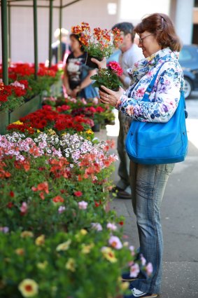 Flowers at a city market.