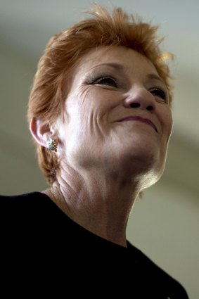 Pauline Hanson is making another attempt to revive her political career.