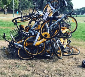 A pile of oBikes at Waverley Oval earlier this month. 