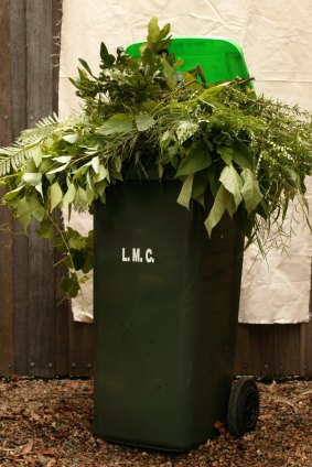 Community groups say a green waste bin, which would see garden waste collected by the ACT Government, would help reduce leaf litter and other vegetation being swept down gutters and into local waterways, contaminating the water.