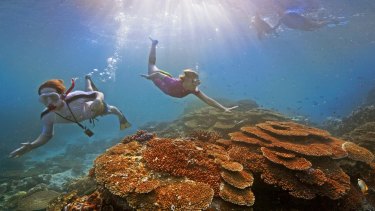 Scientists say rising temperatures and acidity are two long-term threats to the Great Barrier Reef.