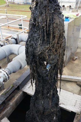 A blockage of wet wipes also known as a fatberg.