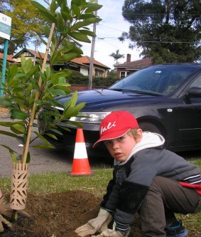 Three-year-old Laurence Bennell plants a tree on National Tree Day in 2012.