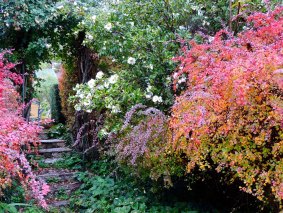 'Wallasey - Beaumaris' garden in Beechworth has been revamped over the past four decades.