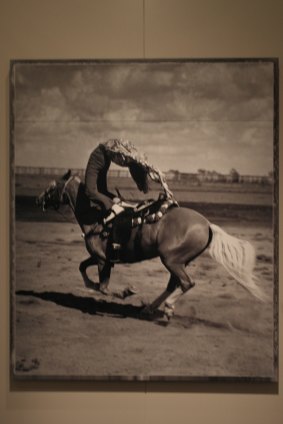 Famed: Nancy Bragg Witner's Falling Tower is a standing backbend from the saddle of a galloping horse. 