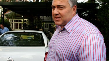 Joe Hockey argued the release of his hire car details could put him at risk. 