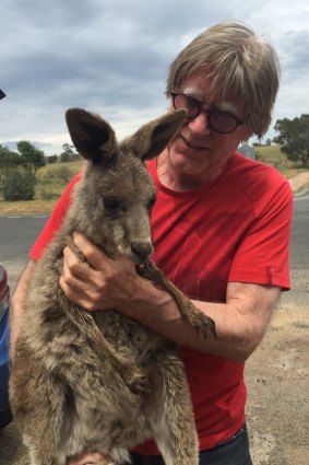Marcus Ward with one of the kangaroos injured in the Lancefield fire.