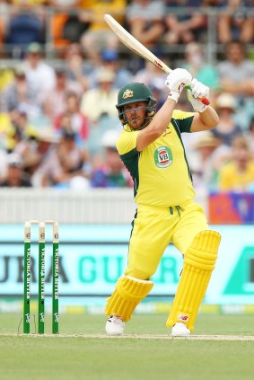 Aaron Finch continued his love affair with Manuka Oval on Wednesday.