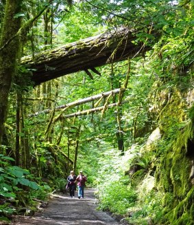 A lush woodland path is worth exploring beyond the Othello Tunnels in Coquihalla Canyon Provincial Park.