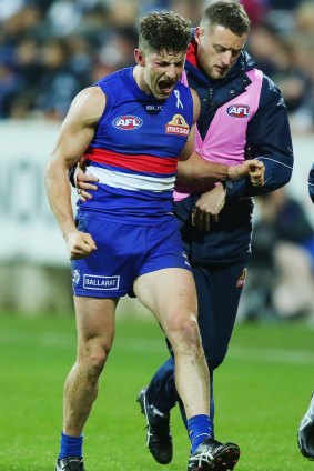 Bulldog Tom Liberatore hobbles off with an injury.
