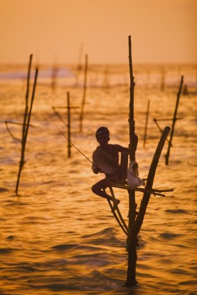 A lone stilt fisherman, Sri lanka.
