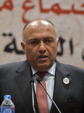 Egyptian Foreign Minister Sameh Shoukri speaks at an Arab summit meeting in Sharm al-Sheikh, where he said Cairo was prepared to send ground troops to Yemen.