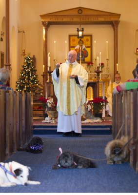 Father Roger Kelly leads the blessing of the animals.