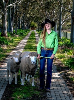 Long road to success: Tess Runting leads some of her sheep at the property at Baxter, near Frankston, where she keeps her flock. 