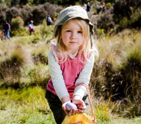 The Great Corin Forest Easter Egg Hunt on Good Friday. Willow Dillon, 3, of Page.