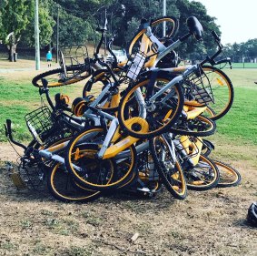 Bikeshares dumped at a Sydney Oval.