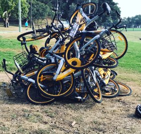 Share bikes have flooded the market - and been the target of vandalism. 