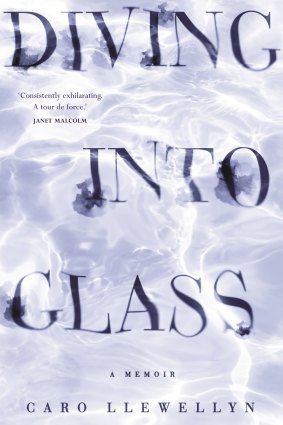 Diving Into Glass by ​Caro Llewellyn.