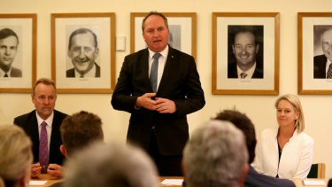 Barnaby Joyce addresses the Nationals' first post-election partyroom meeting at Parliament House in Canberra on Tuesday.