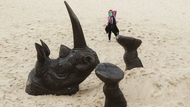 Sculpture by the Sea's Buried Rhino may live out his days at  Tamarama beach. 