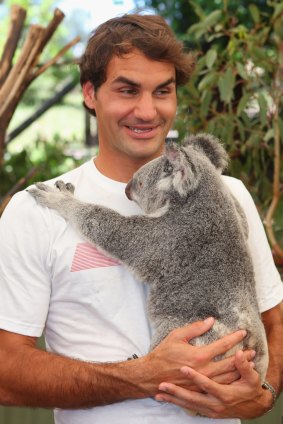 Tennis great Roger Federer holds at koala at Lone Pine in 2014.