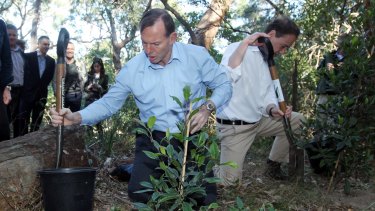Prime Minister Tony Abbott plants a tree at the launch of the Green Army initiative in August.  