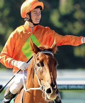 "He is right horse at the right time": Terravista at Warwick Farm in March.